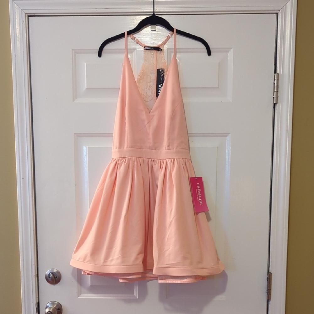 Ina Lace Fit & Flare Dress Size Small Peach Garden Party Brunch Glam NWT Flowy